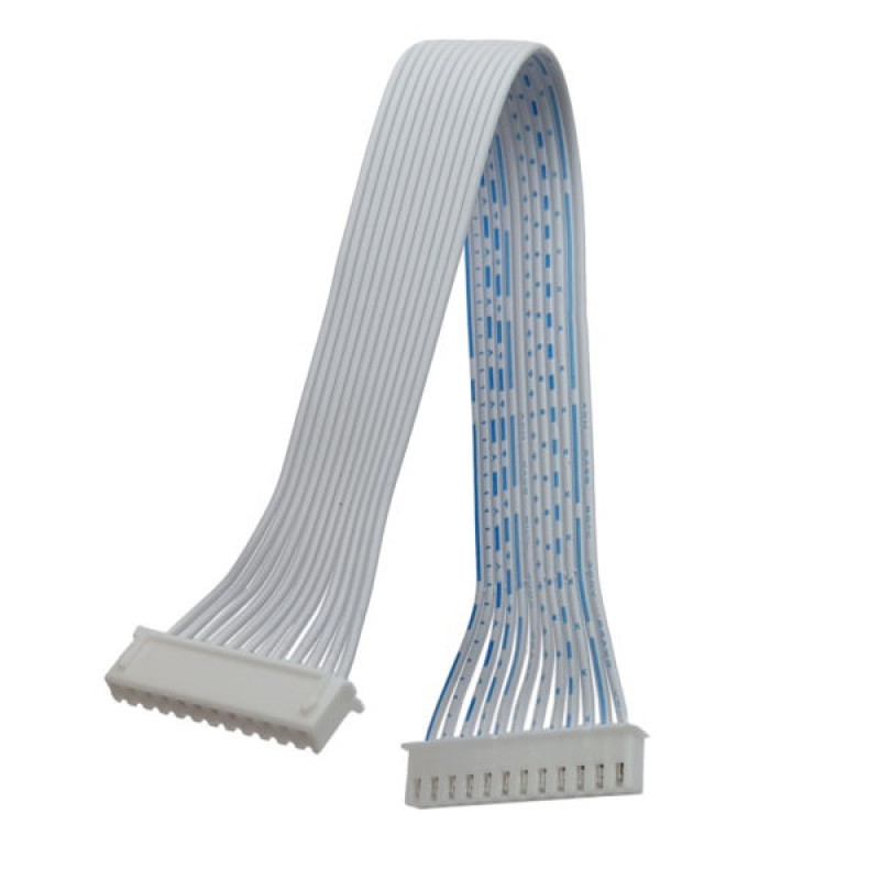 Dây Bus XH2.54mm 2 đầu cái 12P
