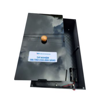 Vai Trò Của Ánh Sáng